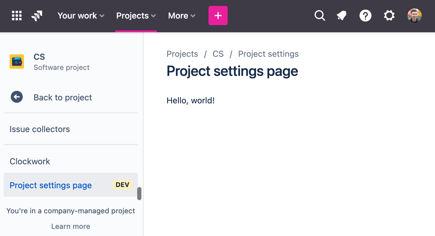 Example of an project settings page